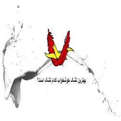 بهترین تشک خوشخواب کدام تشک است؟