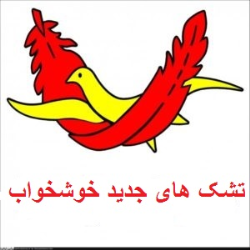 تشک سوپر کلاس (هارد_سافت) پلاس